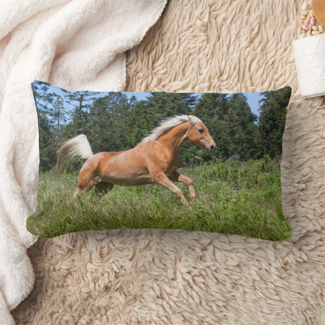 Palominohäst som springer genom en äng lumbarkudde (Filt)