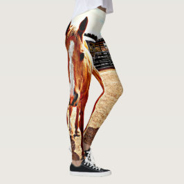 Palominohästkvinna damasker leggings