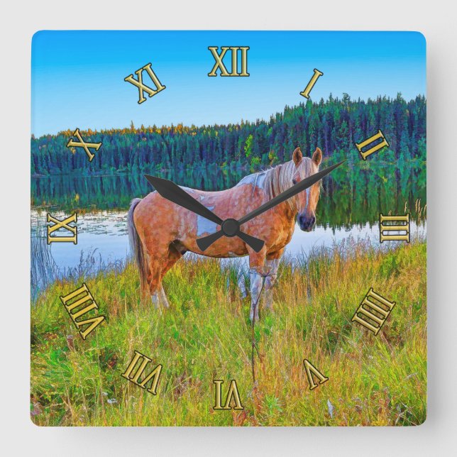 PalominoPinto vid sjö- och skogplats Fyrkantig Klocka (Framsida)