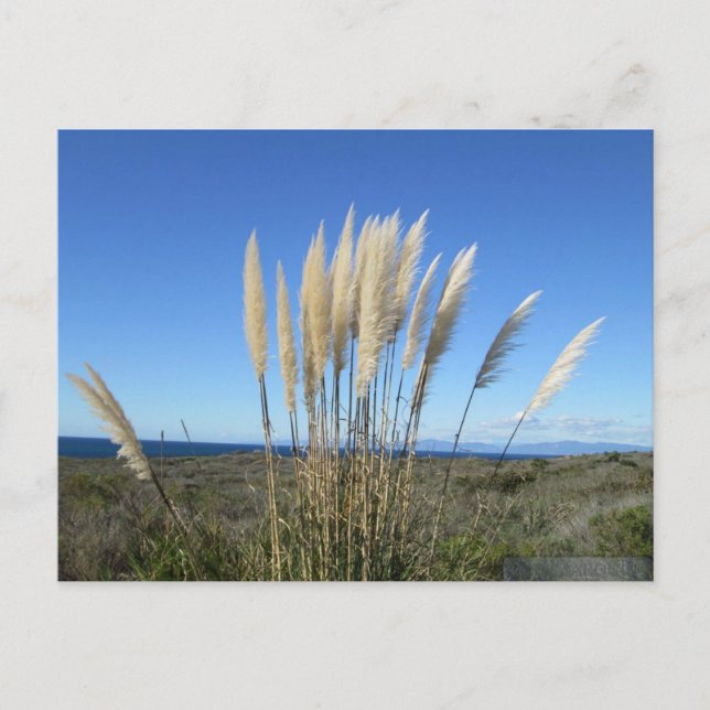 PALOS VERDES. CA #9 POSTCARD VYKORT (Framsida)