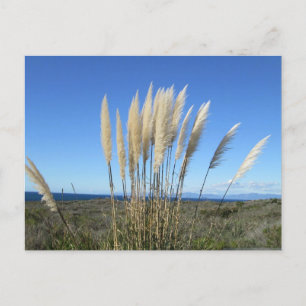 PALOS VERDES. CA #9 POSTCARD VYKORT