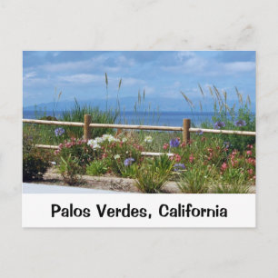 Palos Verdes och Catalina Vykort