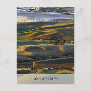 Palouse Sunrise Vykort
