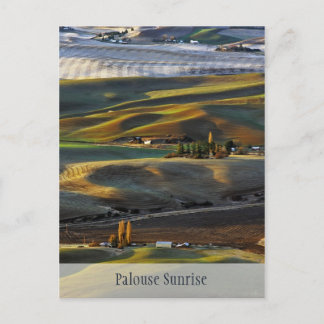 Palouse Sunrise Vykort