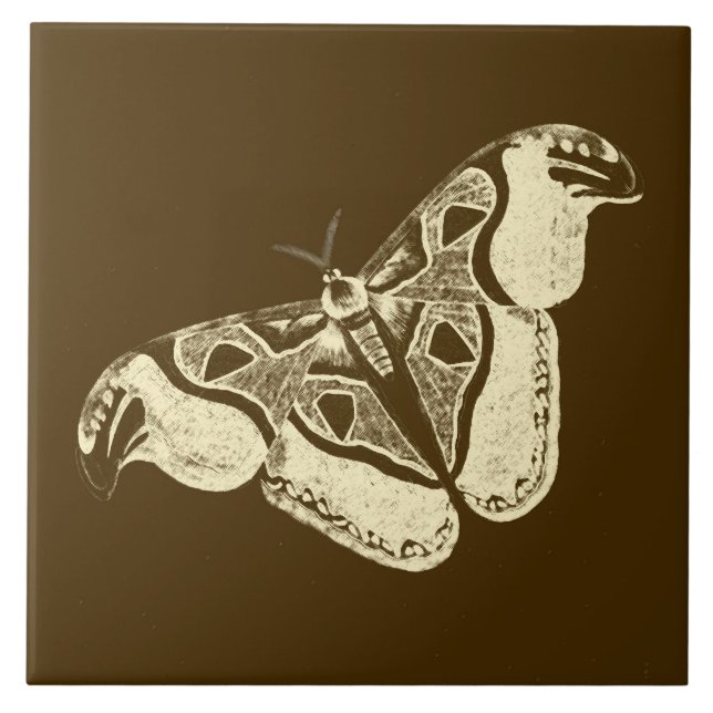 Päls, brun choklad och beige kakelplatta (Framsidan)