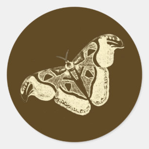 Päls, brun choklad och beige runt klistermärke