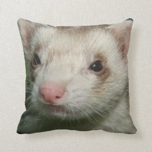 Päls Cute Ansikte av en iller Kudde