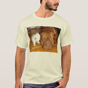 pals för aspcaboxarekattunge t shirt