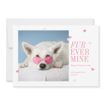 Päls - Hjärtfoto på Valentineser för minhusdjur