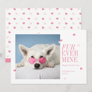 Päls - Hjärtfoto på Valentineser för minhusdjur Inbjudningar