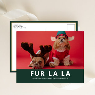 Päls La La Grönt Modern Pet-julfoto Helg Vykort