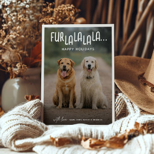 PÄLS LA LA LA LA LA LA LA... Hund fotojul Julkort