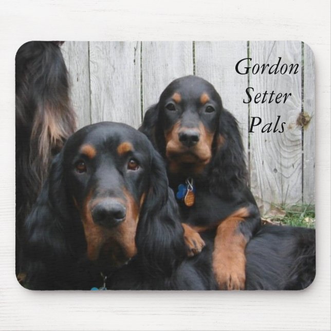 Pals Mousepad för Gordon Setter Musmatta (Framsidan)