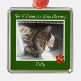 Päls någonsin sällskapsdjur julgransprydnad metall