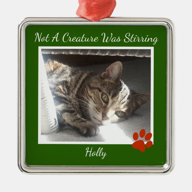 Päls någonsin sällskapsdjur julgransprydnad metall (Framsidan)