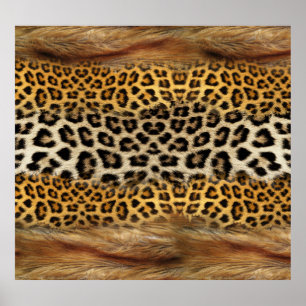Päls struktur: räv och leopard. poster