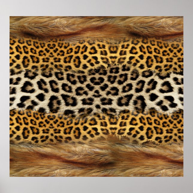Päls struktur: räv och leopard. poster (Framsidan)