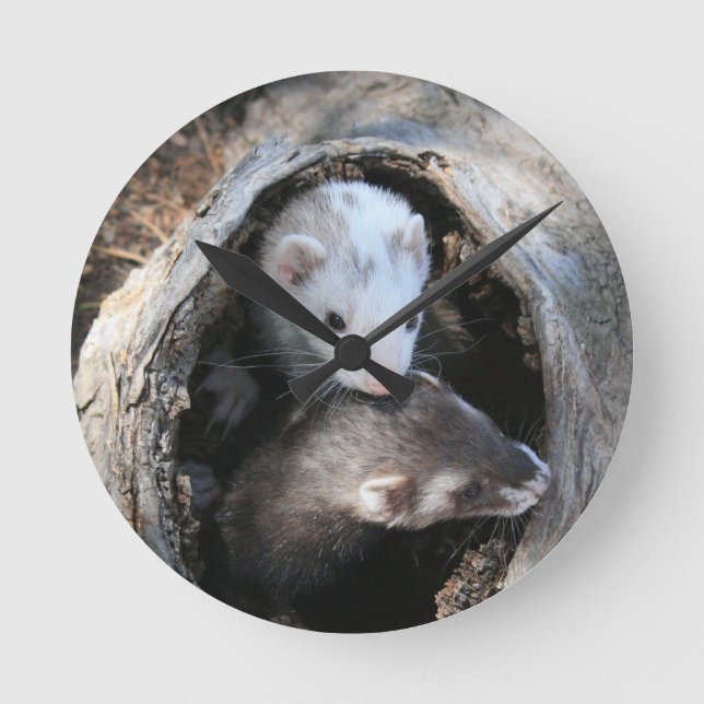 Pals tar tid på rund klocka (Framsida)