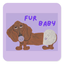 Pälsbaby Taxpuppy