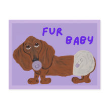 Pälsbaby Taxpuppy