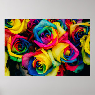 Pälsblommor av sorterat färg poster