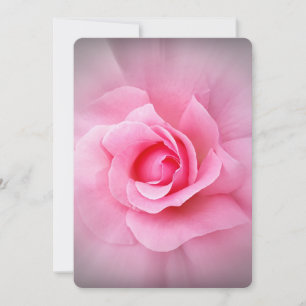 Pälsdjur av Rosa ros Inbjudningar