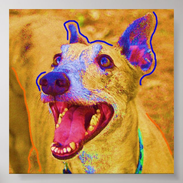 Palu Poster (Framsidan)