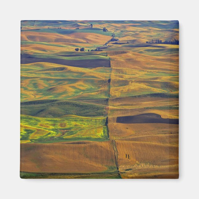 Palus från Steptoe Butte, Colfax Magnet (Framsidan)