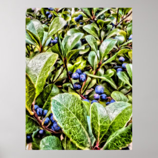 Pamela Storch - Blueberry Bush Sergranat Poster