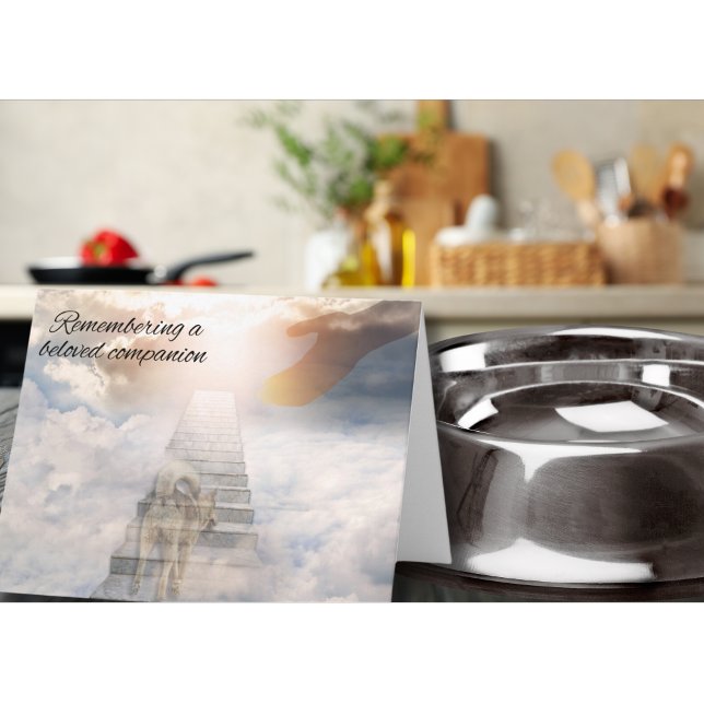 Påminnelse av ett belgiskt assistent Hund Bereavem Kort (Skapare uppladdad)