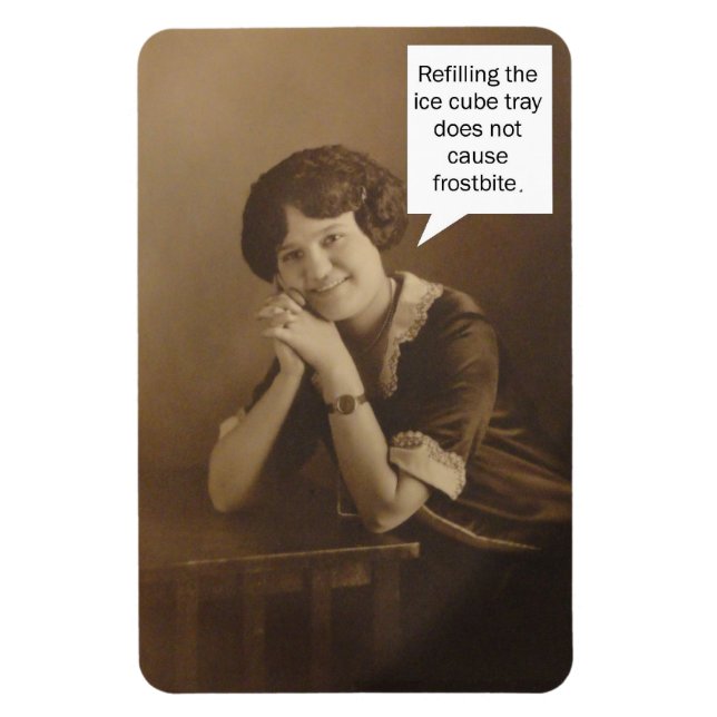 Påminnelse för iskubsfack magnet (Vertikal)