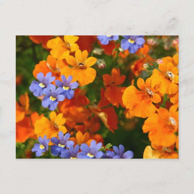 Påminnelse från Vår Vykort (Framsida)