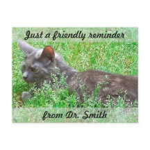 Påminnelse om anpassade Veterinary Checkup