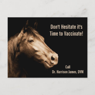 Påminnelse om veterinärvaccinering för hästar vykort