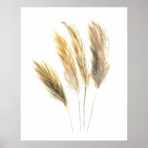 Pampas-gräs Watercolor Blommigt Flowers Boho Art Poster