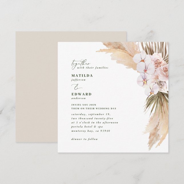 Pampas gräsdesrätt, naturlig torkad botanisk (Fram/baksida)