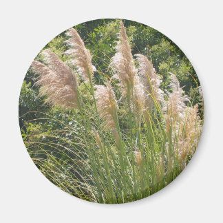 Pampas Grass Magnet