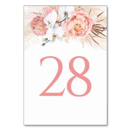 Pampas Grass Rosa Blommigt Bordsnummer