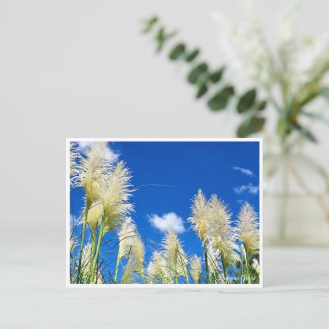 Pampas Grass Vykort (Stående Fram)