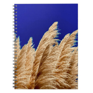 Pampas och Himmel bärbar dator Anteckningsbok