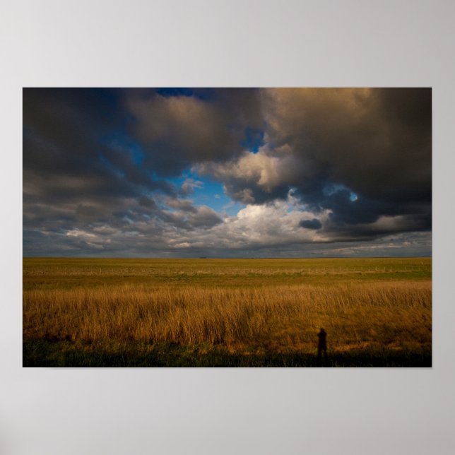 Pampas Poster (Framsidan)