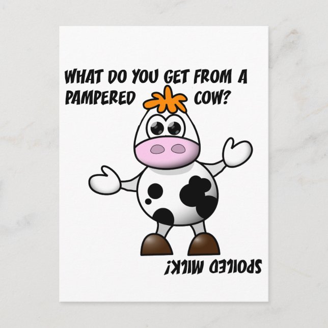 Pampered Cow Skämt Postkort Vykort (Framsida)