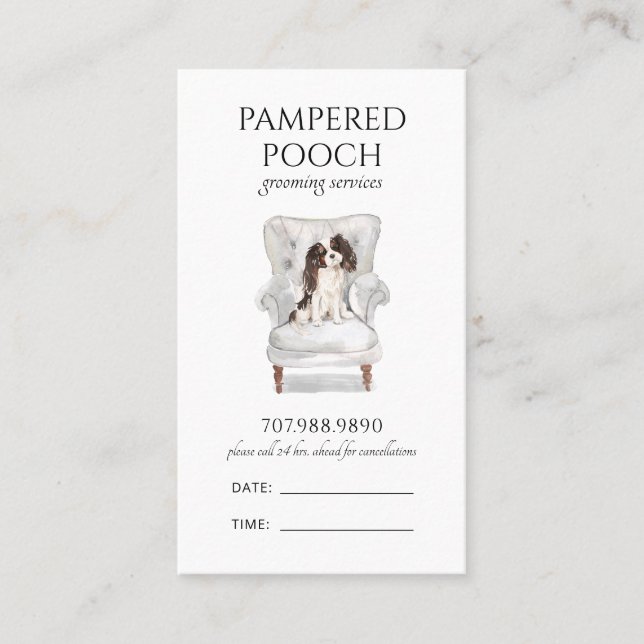 Pampered Pooch Hund Spa Grooming Tidsbeställning Kort (Framsida)