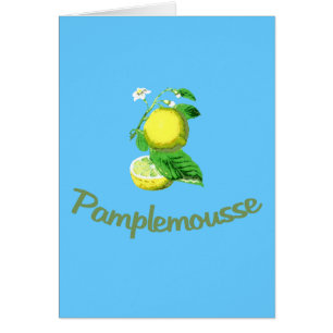 Pamplemousse fransk för grapefrukt hälsningskort