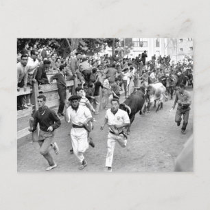 Pamplona Spain Running of the Bulls Vykort