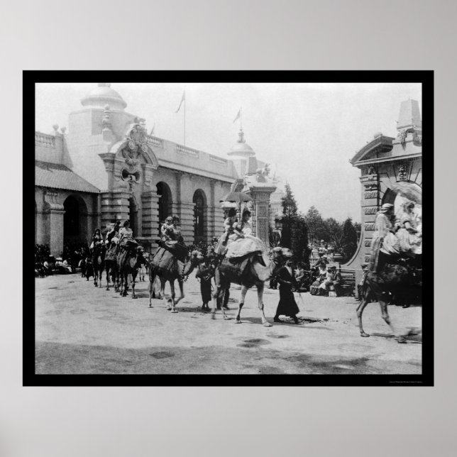 Pan Am Expo Camel Parad 1901 Poster (Framsidan)