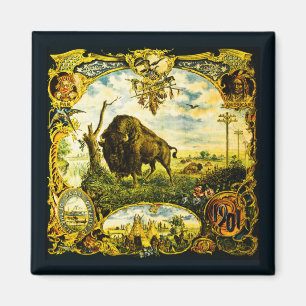 Pan Am Expo med Bison och motiv från indianer Magnet
