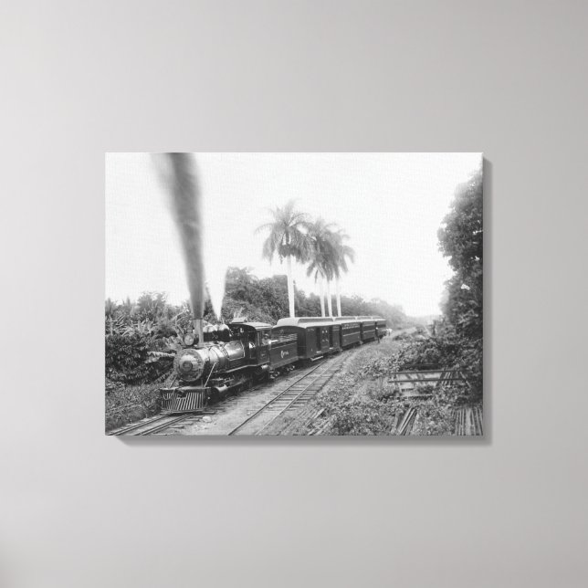 Pan American Central Railroad i Guatemala Canvastryck (Framsida)