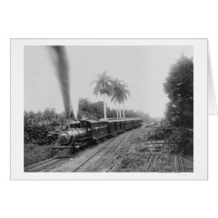 Pan American Central Railroad i Guatemala Hälsningskort