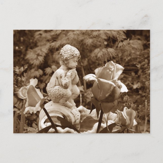 Pan Garden-vykort Vykort (Framsida)